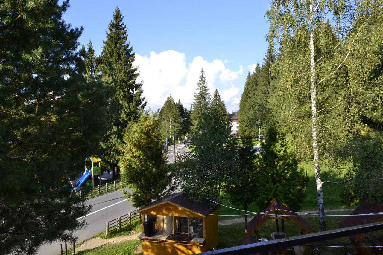 Hotel Casa Vinga - Restaurant&Jacuzzi Poiana Brasov Exterior foto